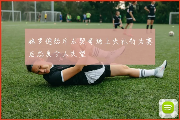 施罗德怒斥东契奇场上失礼行为赛后态度令人失望