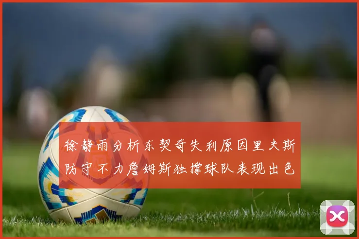 徐静雨分析东契奇失利原因里夫斯防守不力詹姆斯独撑球队表现出色