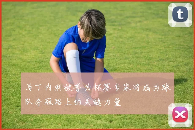 马丁内利被誉为杯赛专家将成为球队夺冠路上的关键力量